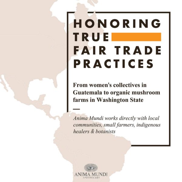 Botella con gotas desintoxicantes para hígado