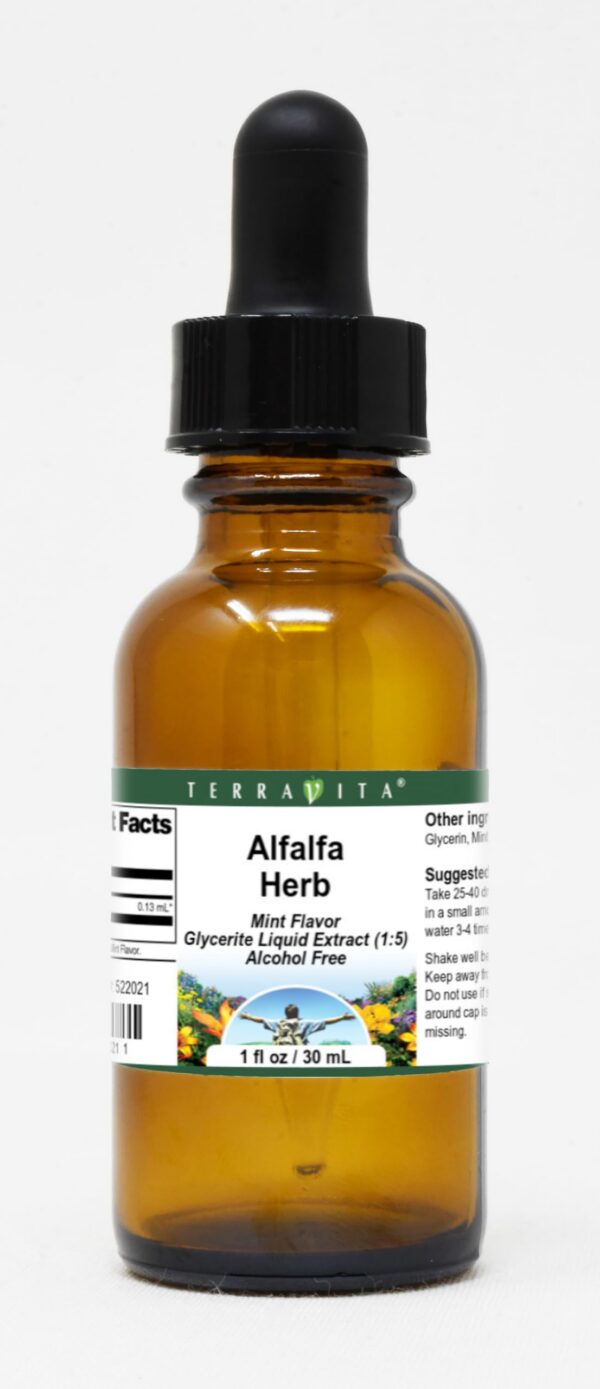 Version 1.0.0 Extracto líquido de alfalfa sabor menta TerraVita 1 oz