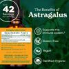 Extracto líquido astrágalo Herb Pharm ingredientes naturales