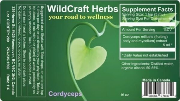 Extracto líquido de Cordyceps para uso natural