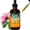 Extracto líquido de Echinacea dorada orgánica para sistema inmune