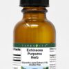 Version 1.0.0 Extracto líquido Echinacea Purpurea botella frontal 1 oz