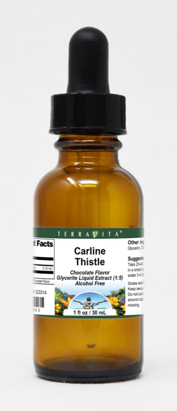 Extracto líquido glicerita cardo carline Terravita sabor chocolate