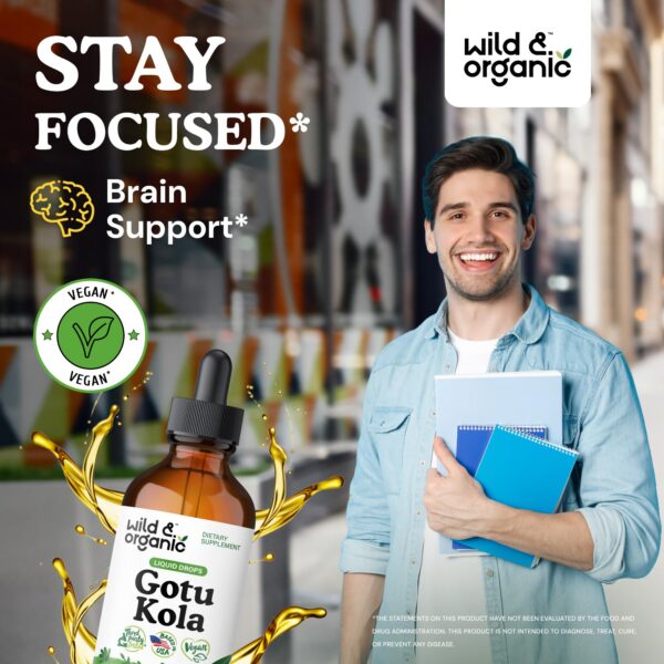 Version 1.0.0 Extracto líquido de Gotu Kola sin azúcar 4 onzas