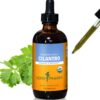 Version 1.0.0 Extracto líquido Herb Pharm de cilantro orgánico 4 onzas