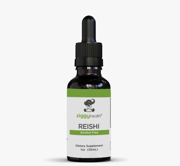 Extracto líquido hongo reishi Ziggy Health para apoyo cerebral