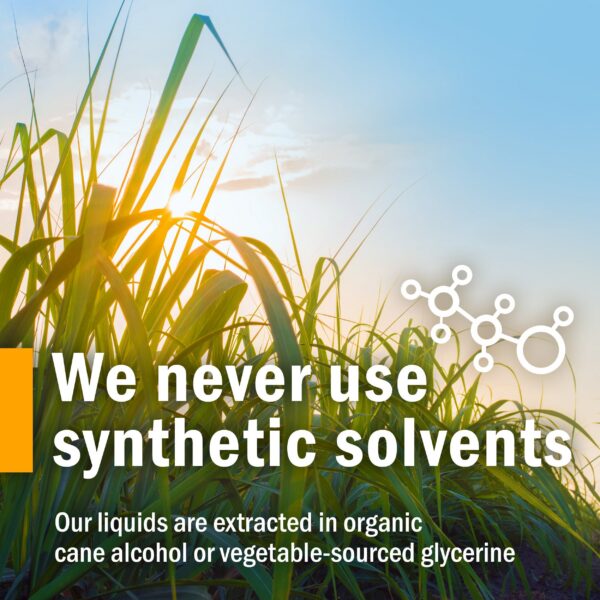 Extracto líquido Lobelia Herb Pharm sin gluten y no GMO