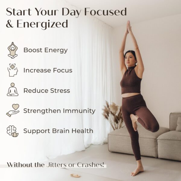 Extracto líquido natural de hongos para enfoque y calma