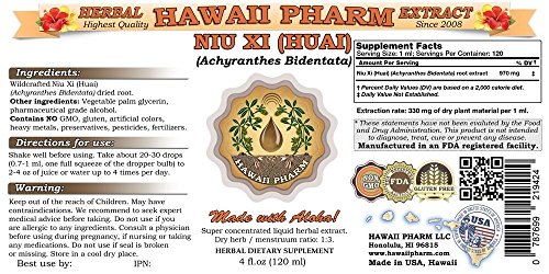 Version 1.0.0 Extracto líquido natural Niu Xi raíz Achyranthes