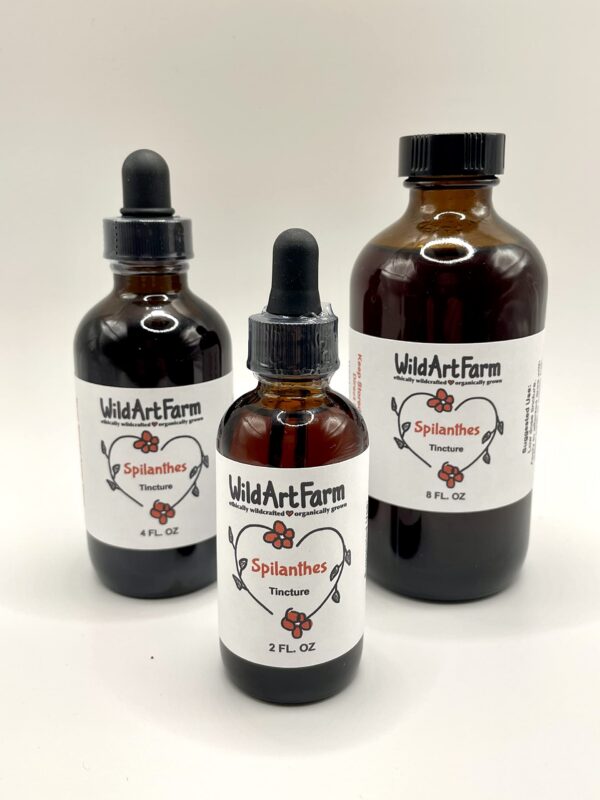 Version 1.0.0 Extracto líquido natural de planta para dolor oral