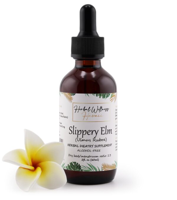 Extracto liquido olmo resbaladizo ulmus rubra Herbal Wellness Hawaii