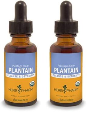 Version 1.0.0 Extracto líquido orgánico de plátano para limpieza y desintoxicación 1 onza