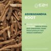 Etiqueta de suplemento ashwagandha E2H Earth to Humans