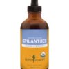 Version 1.0.0 Extracto líquido orgánico Spilanthes 4 onzas para desintoxicación