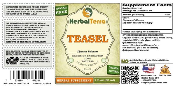 Detalle de tintura de raíz seca de Teasel Herbal Terra