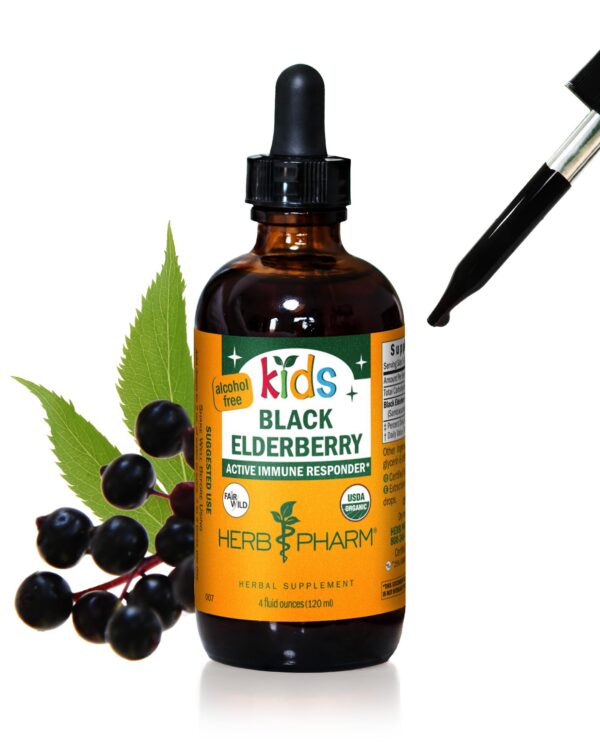 Version 1.0.0 Extracto líquido de saúco negro Herb Pharm para niños 4 oz