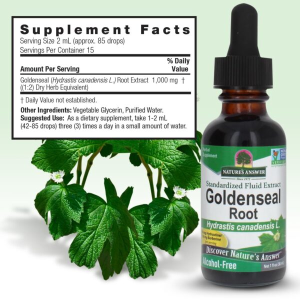 Extracto líquido sin gluten Goldenseal por Nature's Answer