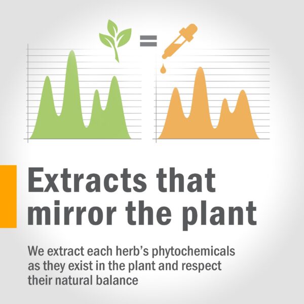 Extracto Herb Pharm glicerita semilla de avena botella frontal