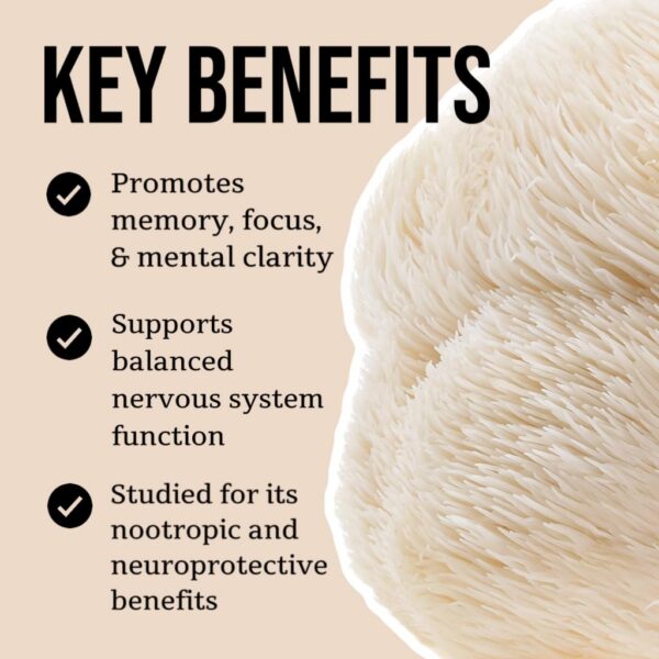 Extracto melena de león puro para apoyo cognitivo y enfoque