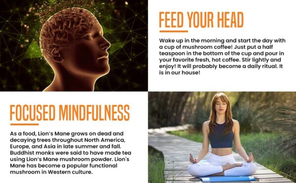 Extracto de Melena de León disuelto en café