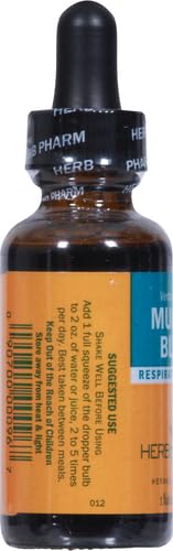 Extracto de Mullein como apoyo pulmonar tradicional suavemente