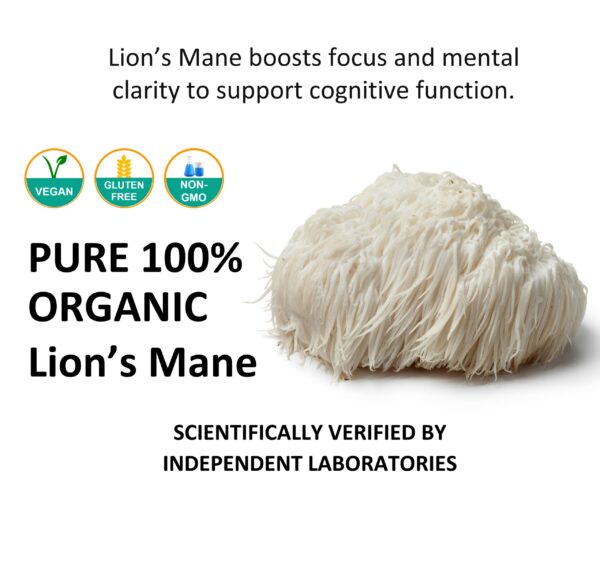 Version 1.0.0 Extracto natural de hongo melena de león Jetsu en polvo en envase