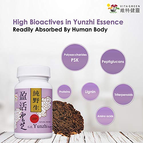 Extracto natural de hongos organicos Cola de Pavo en cápsulas