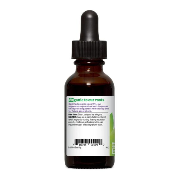 Version 1.0.0 Extracto natural orgánico de jengibre 1 oz