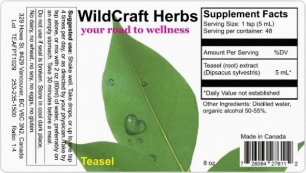 Extracto natural raíz teasel sin aditivos Wildcraft Herbs 8 oz