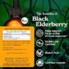 Extracto natural de saúco negro para apoyo del sistema inmunológico