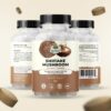 Extracto natural de seta shiitake en tabletas 30 unidades