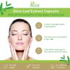 Extracto orgánico de hoja de olivo cápsulas para antienvejecimiento
