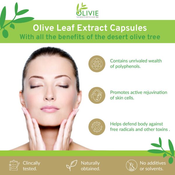 Extracto orgánico de hoja de olivo cápsulas para antienvejecimiento