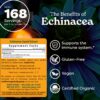 Extracto orgánico de raíz de Echinacea Herb Pharm
