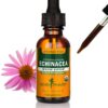 Extracto orgánico de raíz de equinácea Herb Pharm botella 1 oz