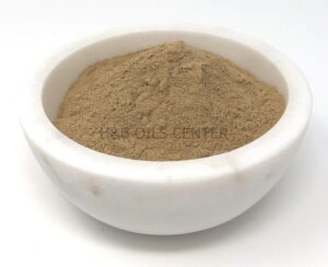 Extracto Polvo Ginkgo Biloba 16oz para Memoria y Alerta