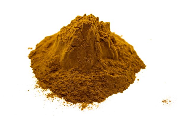 Extracto de Polvo de Hongo Reishi Orgánico 100g