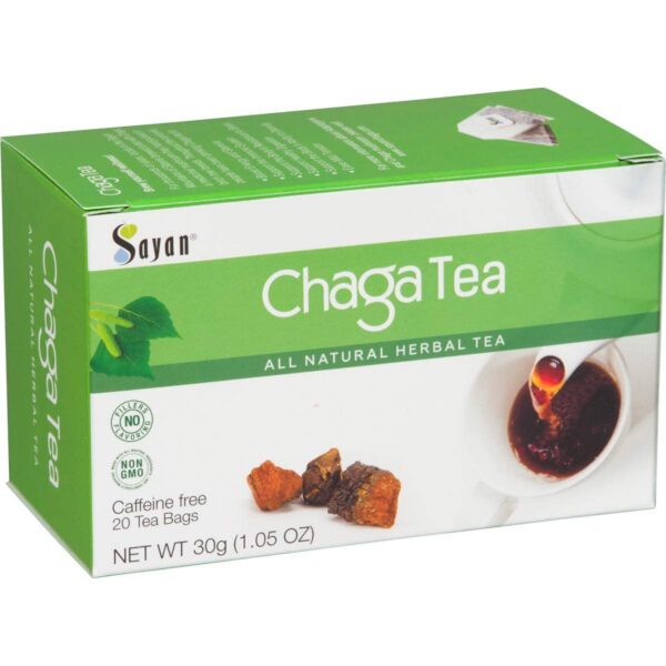 Extracto potente de hongo Chaga para cápsulas vegetarianas