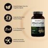 Extracto potente de semilla Mucuna Pruriens