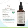 Version 1.0.0 Extracto potente sin alcohol HerbEra Kelp B120 4 onzas