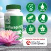 Extracto puro de raíz Ashwagandha KSM-66 sin gluten