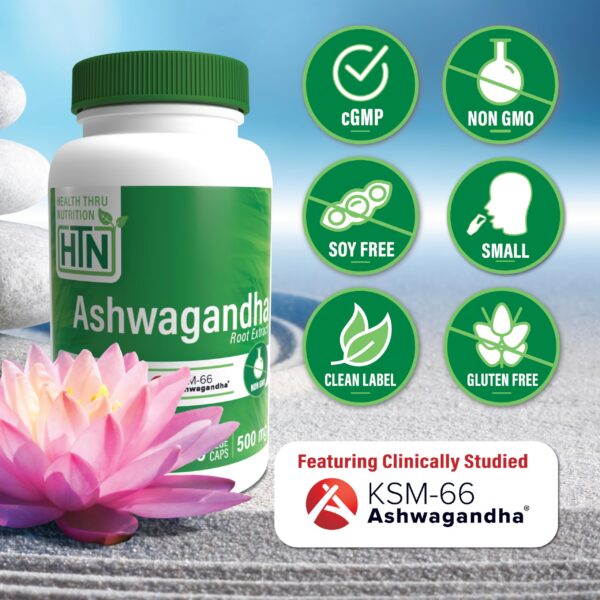Extracto puro de raíz Ashwagandha KSM-66 sin gluten
