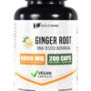 Extracto raíz jengibre Healthfare 4000mg frasco principal