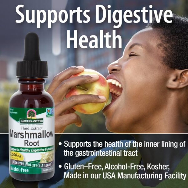 Extracto raíz de malvavisco sin alcohol Nature's Answer vista de ángulo