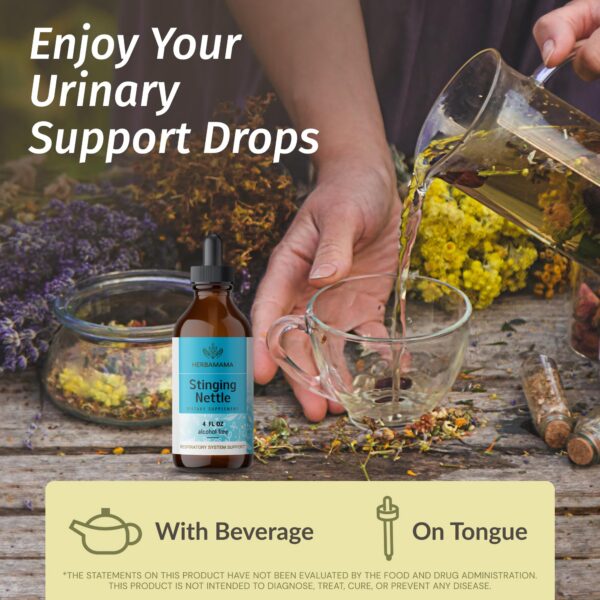 Version 1.0.0 Envase y etiqueta de extracto de raíz de ortiga Herbamama