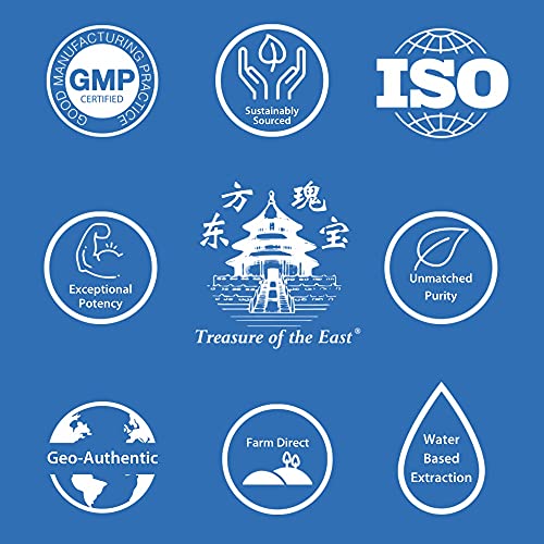 Version 1.0.0 Extracto rama de canela Tesoro del Este presentación frontal