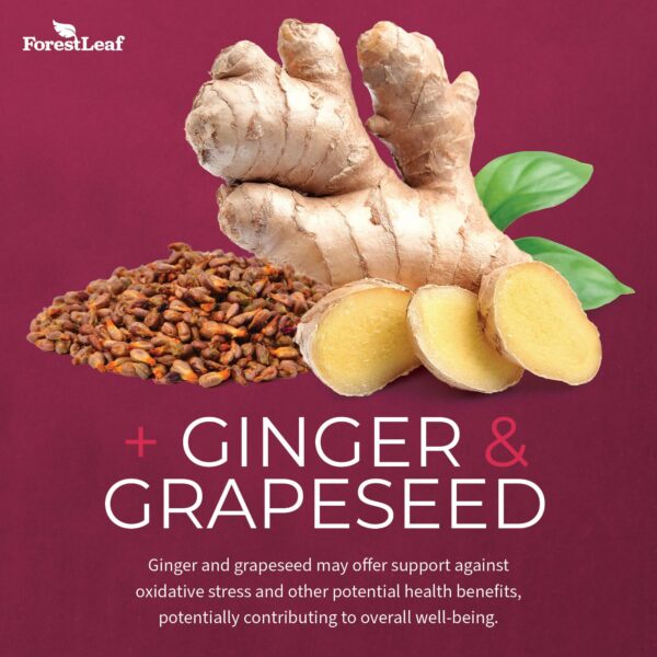 Version 1.0.0 Extracto remolacha orgánico 20:1 ForestLeaf