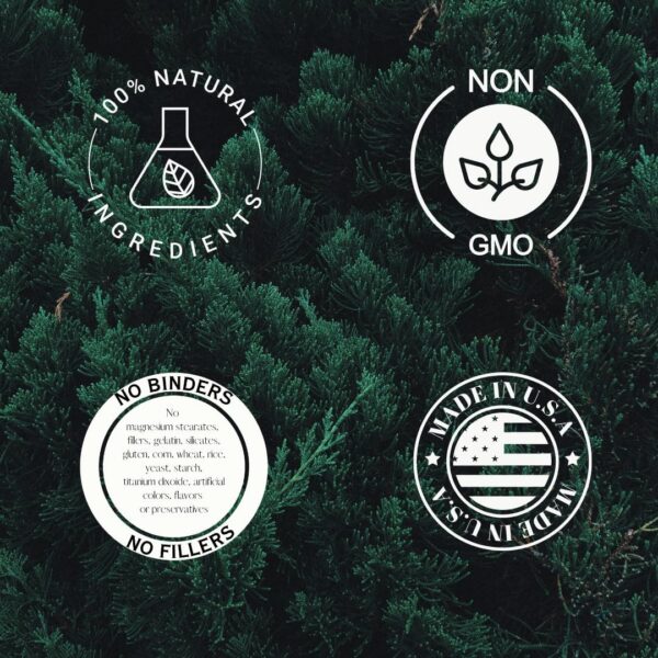 Version 1.0.0 Extracto de Saw Palmetto puro en cápsulas libres de estearato