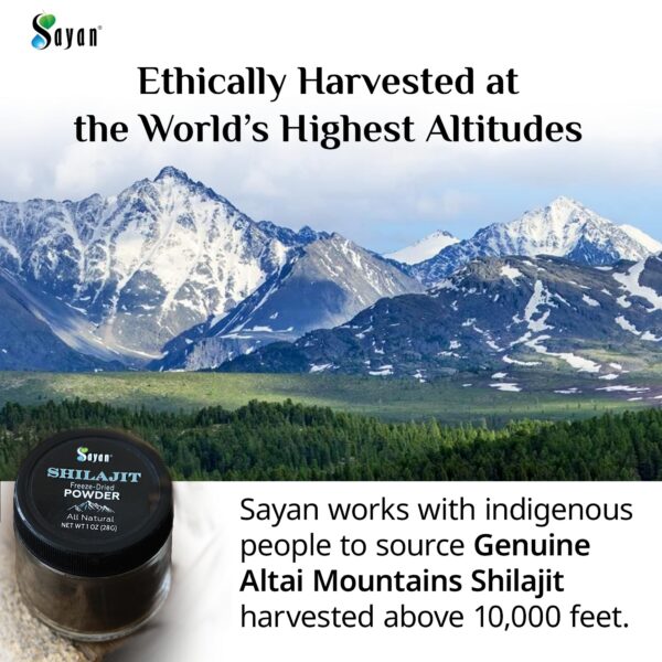 Extracto Shilajit concentrado natural Sayan sin GMO