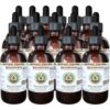 Version 1.0.0 Extracto sin alcohol Helichrysum orgánico Hawaii Pharm 15x4 oz